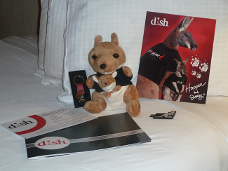 DISH SWAG BAG!