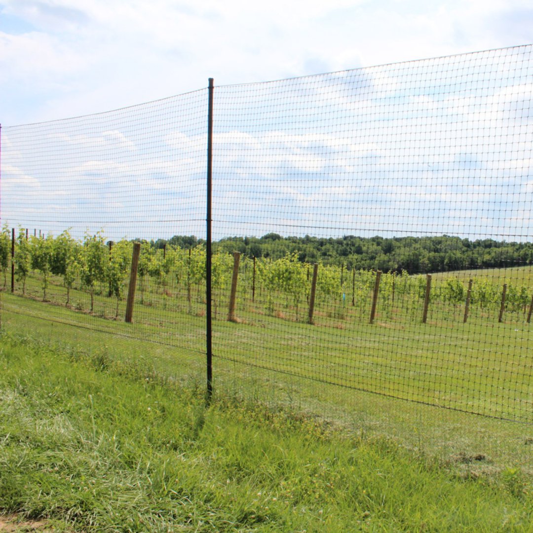 10'_Fence.jpg