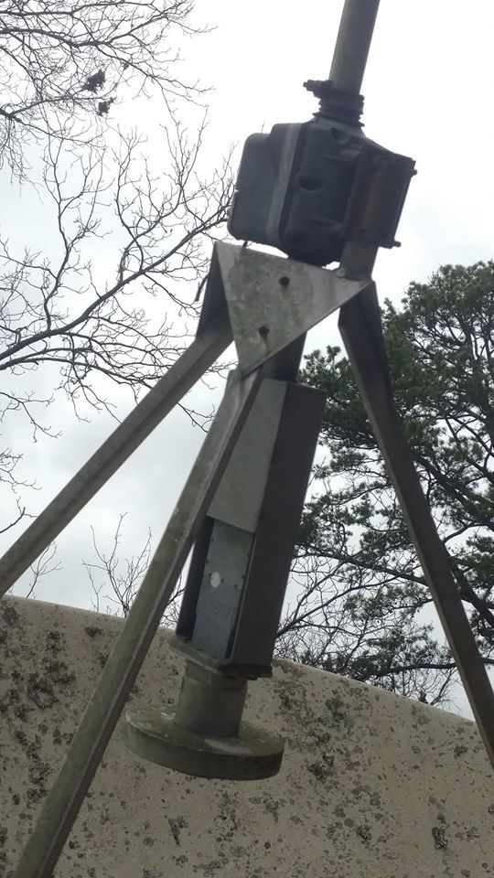 11ft2.jpg