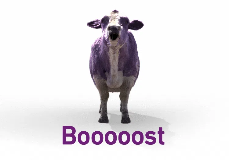 1699580811134.png