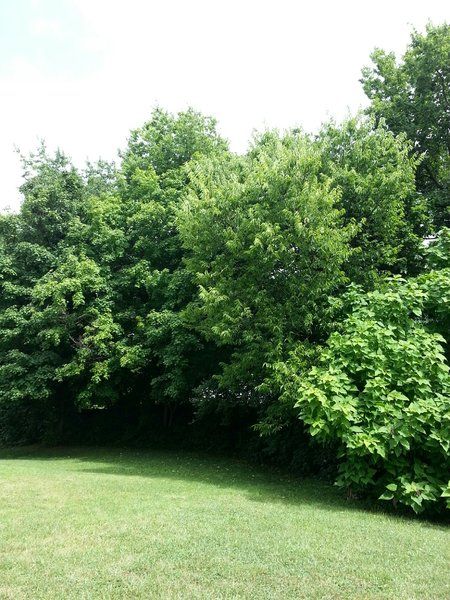 20140720_155541_resized.jpg