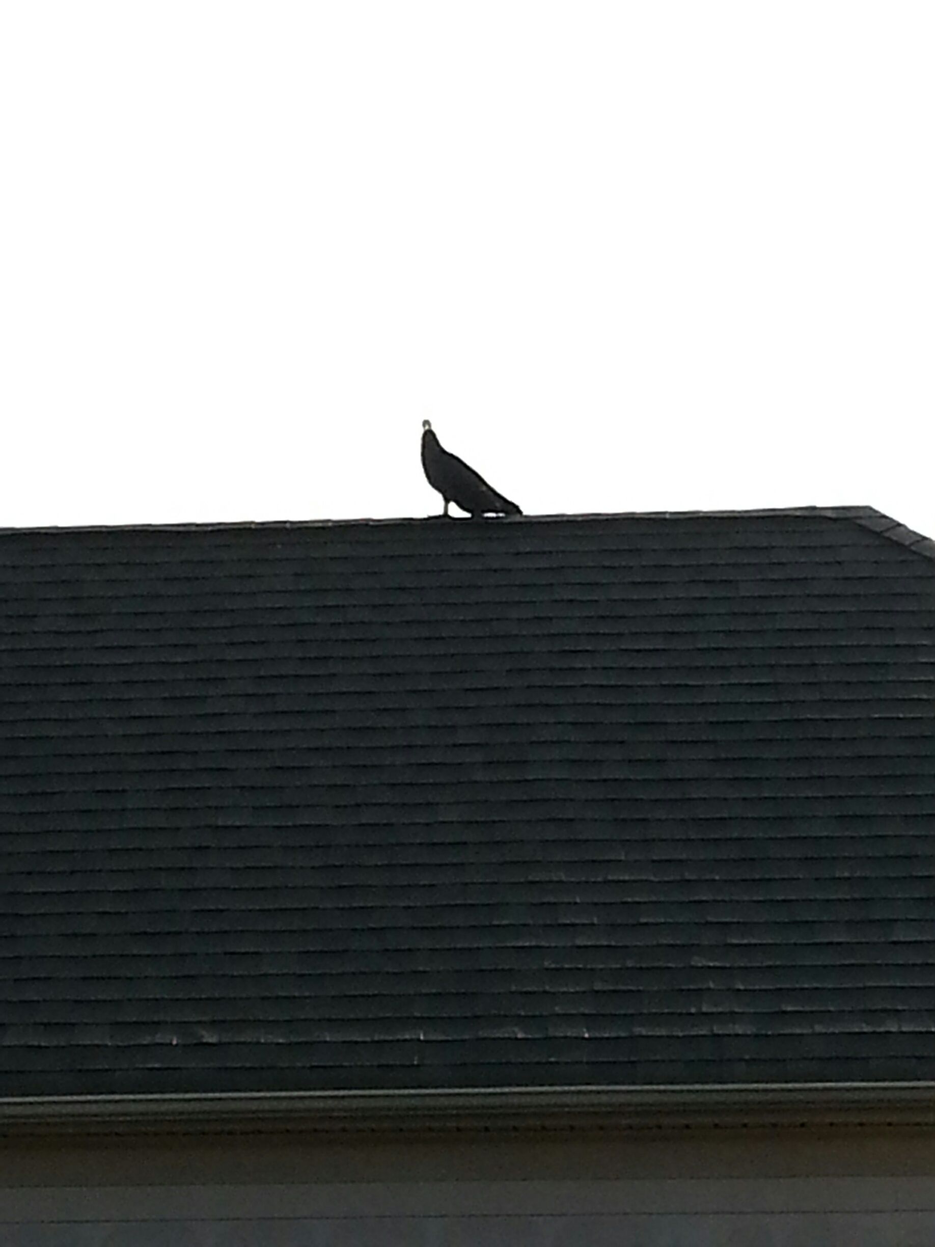 20140803_092312_resized.jpg