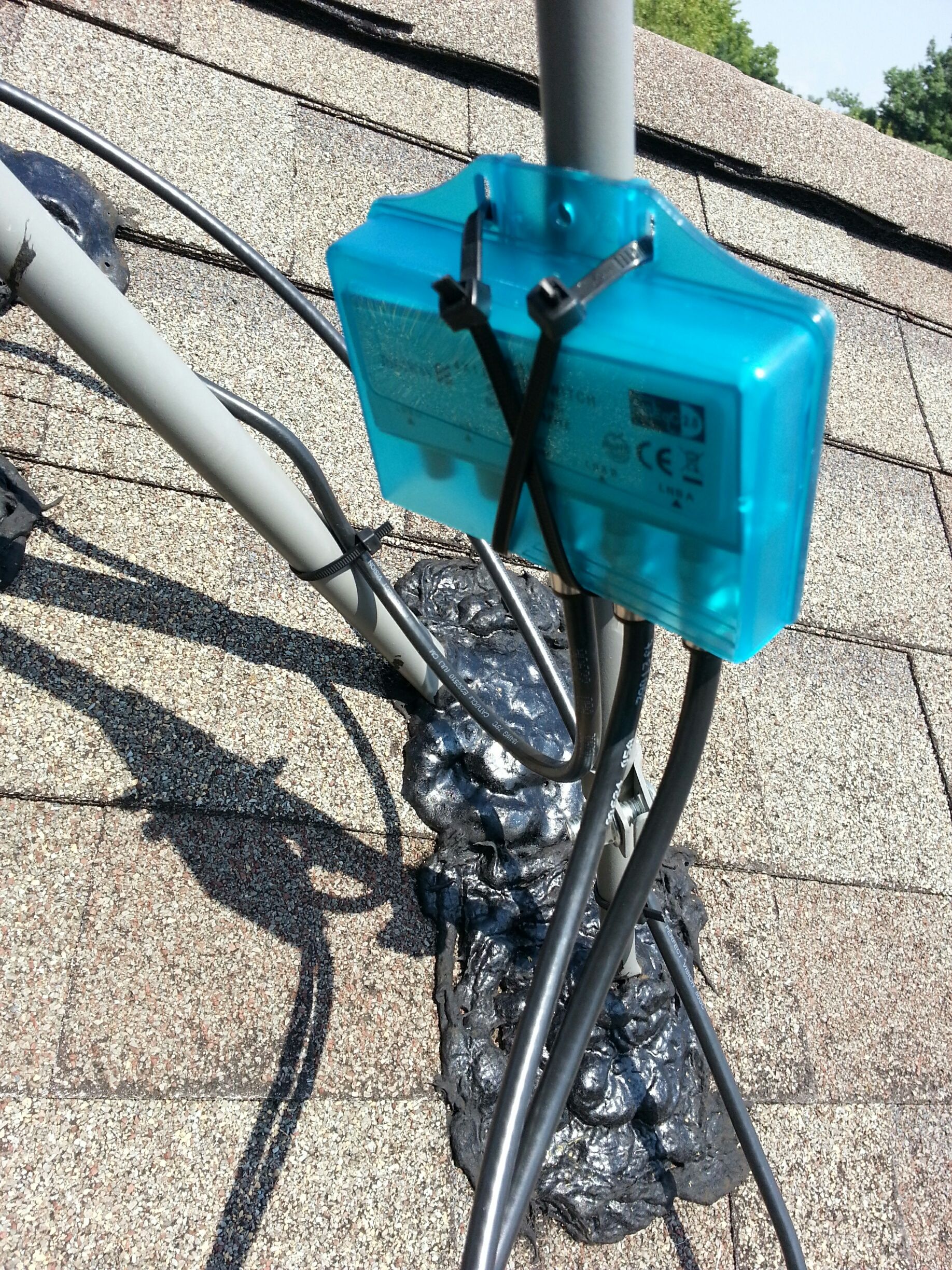 20140803_121305_resized.jpg