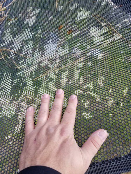 20170524_122100.jpg