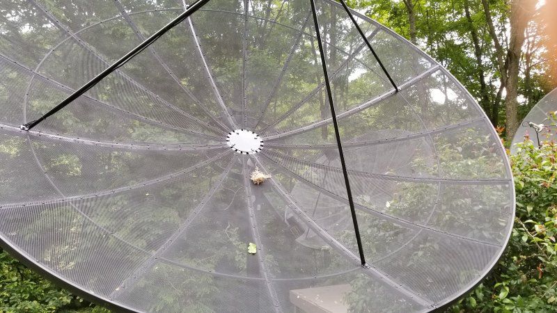 20170608_171757.jpg