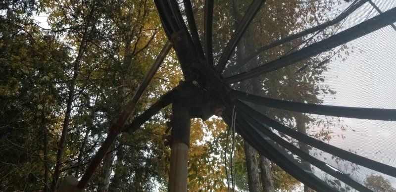 20181013_180931.jpg