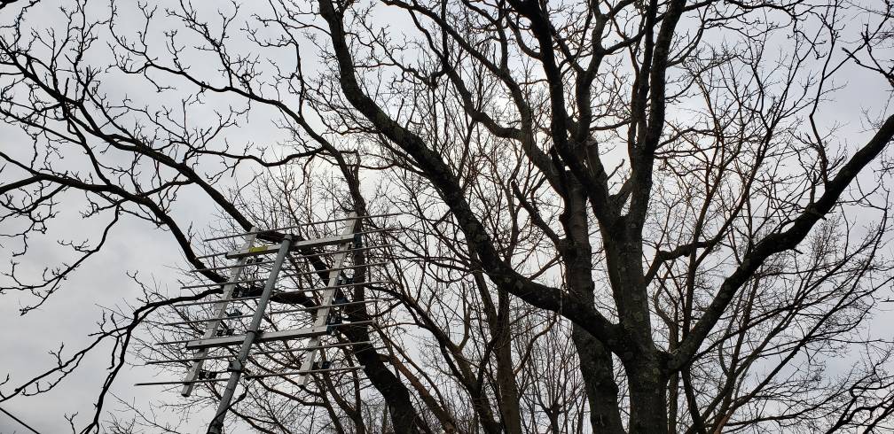 20190227_175040.jpeg