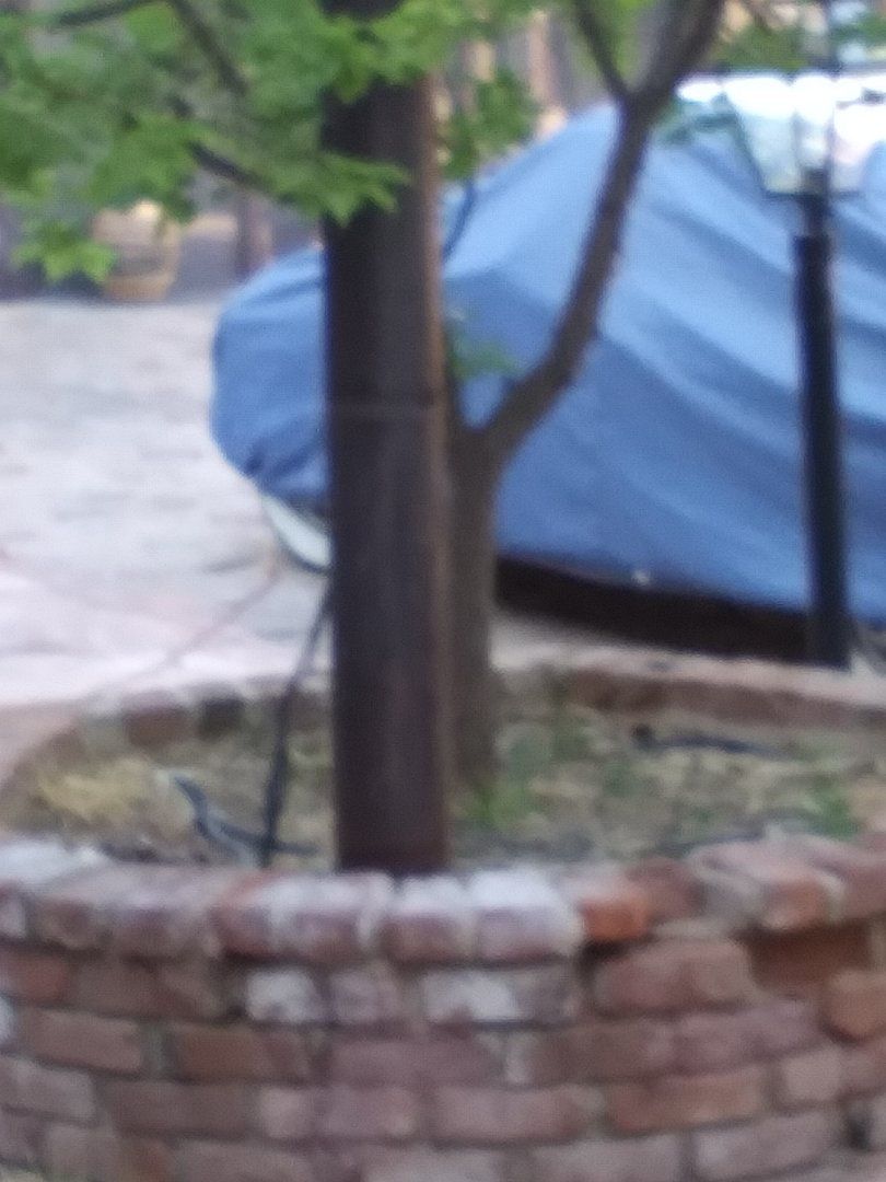 20200501_163907.jpg