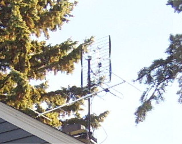 4576.jpg