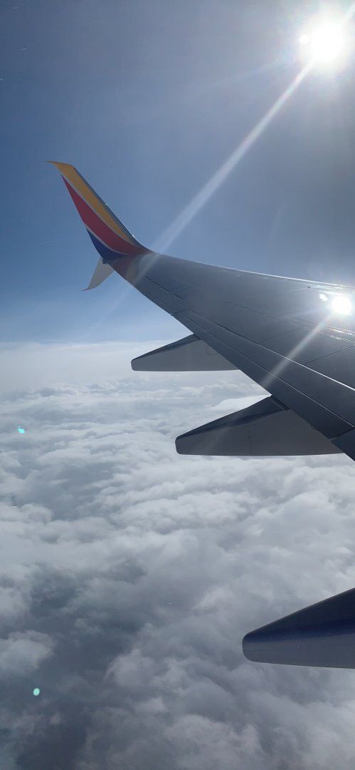 4DF76345-C01F-465D-A308-557DDEC07AAD.jpeg