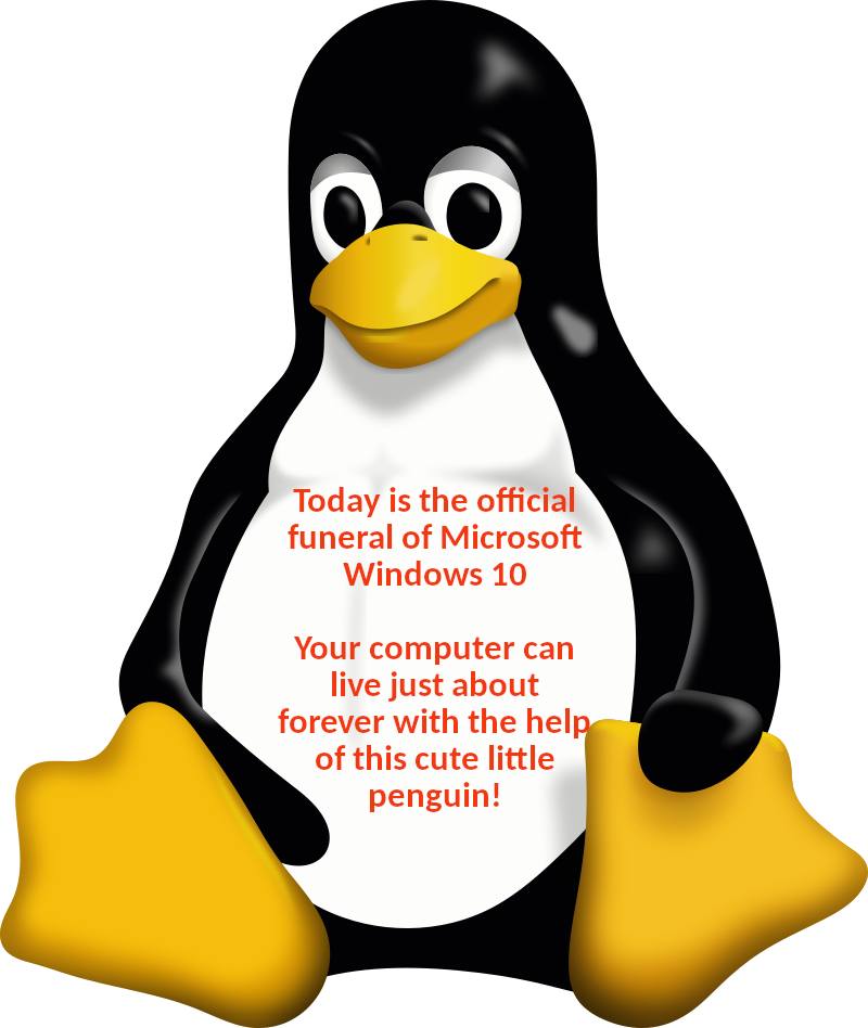 562337802_10233678884448049_6356115874163732027_n.jpg