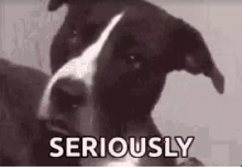 6723EF34-A593-4581-9306-87686166E9BA.gif