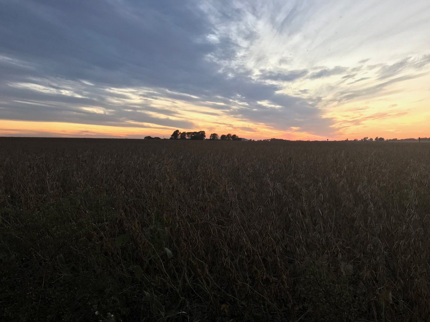 6F41775F-5F0C-41AF-8461-907202390F63.jpeg