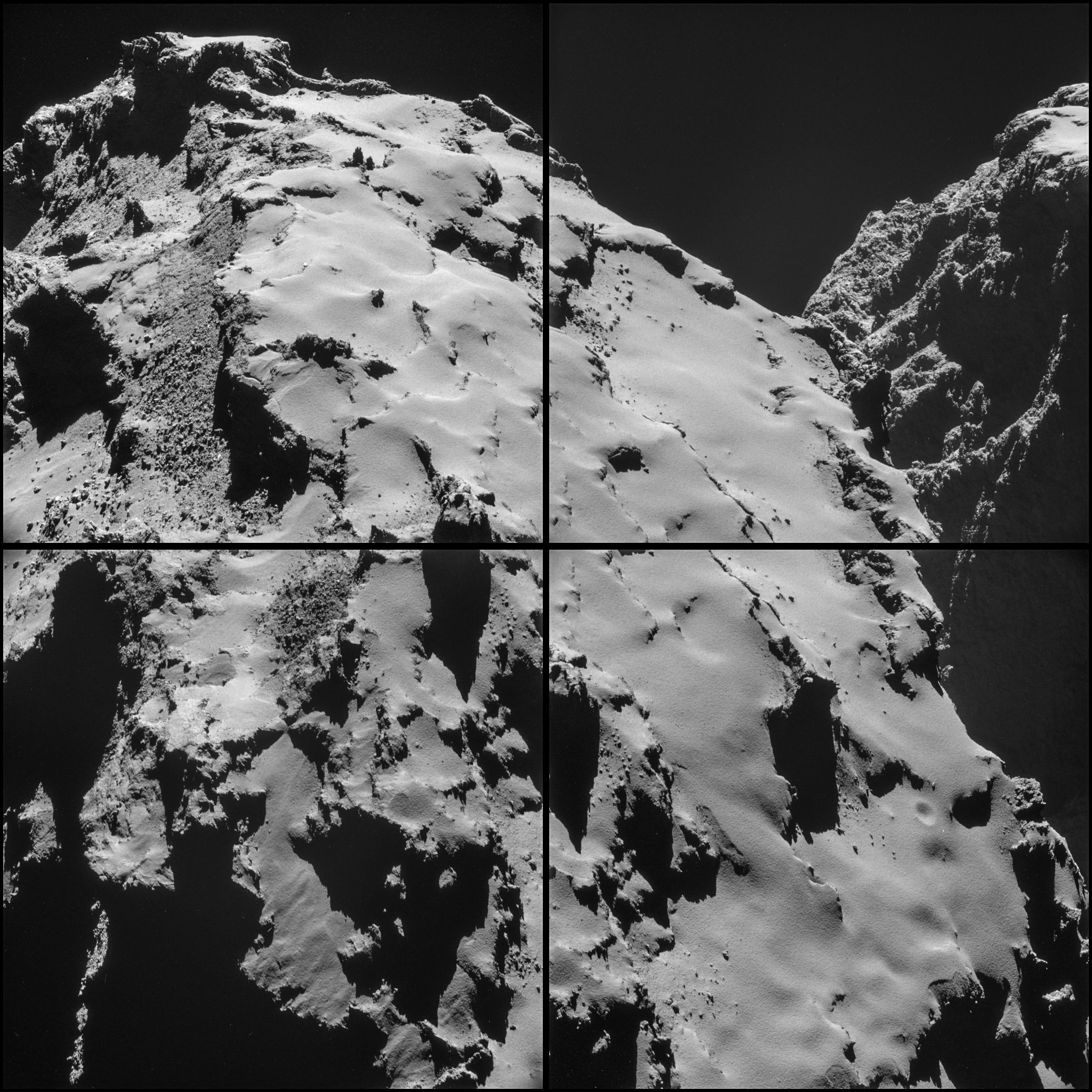 7c6c0294-a60c-418d-b545-1ee88a5b697e.jpg