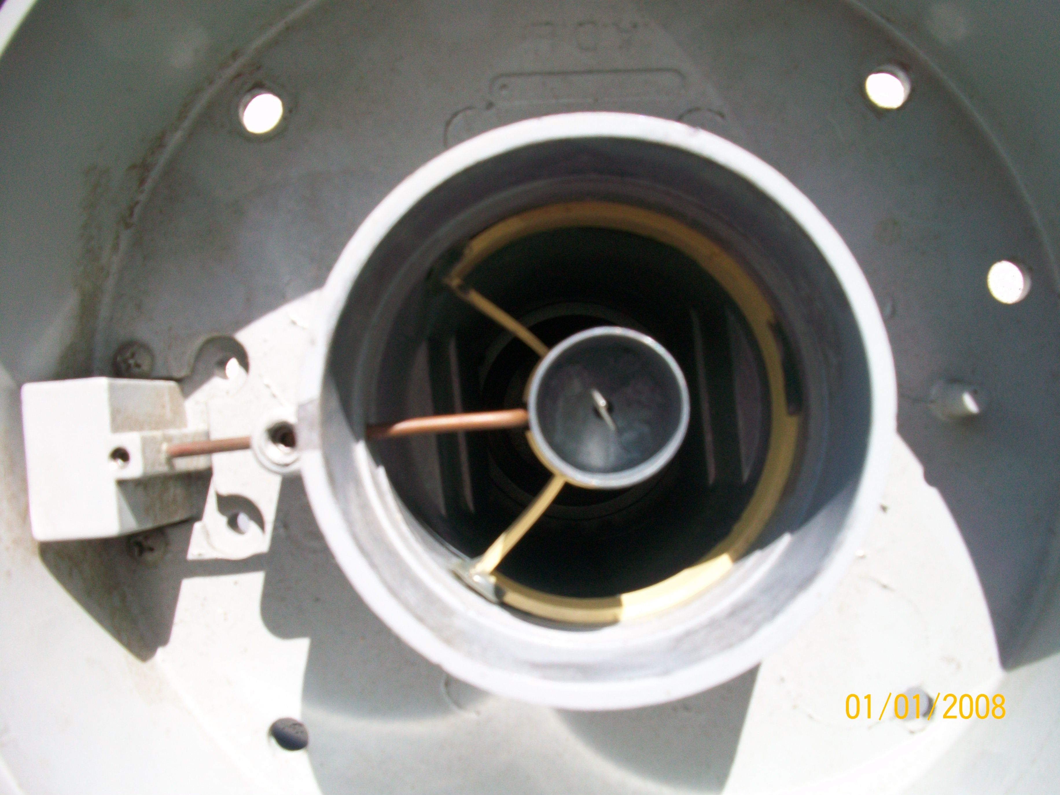 ADL Feedhorne 012.jpg