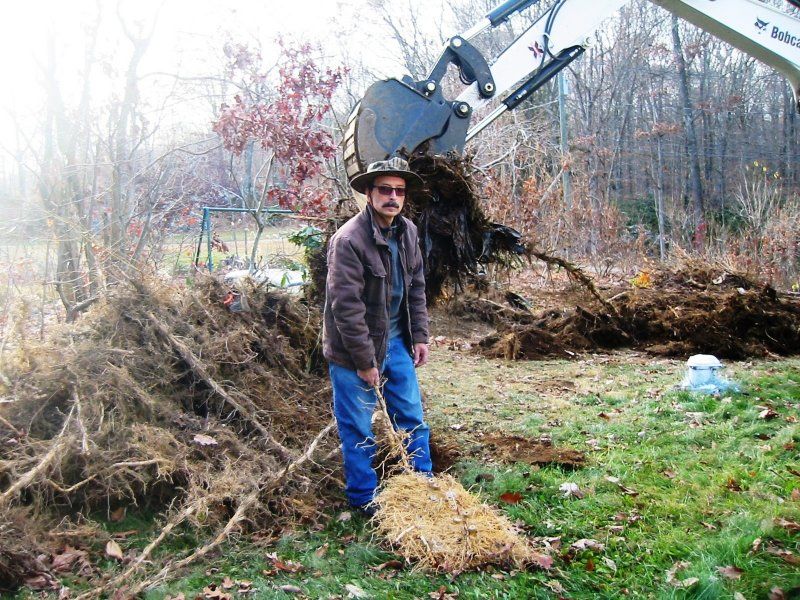 AL THE BEST BAMBOO KILLER.jpg