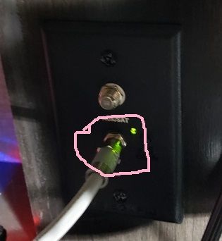 Ant.jpg