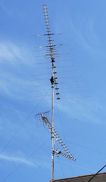antennas21.jpg