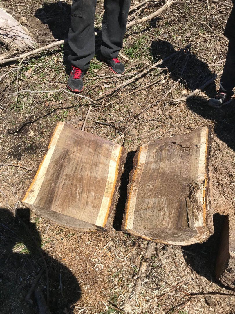 BLACK WALNUT CUTS.jpg
