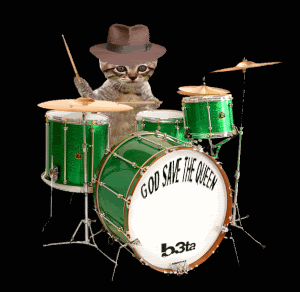 cat2.gif