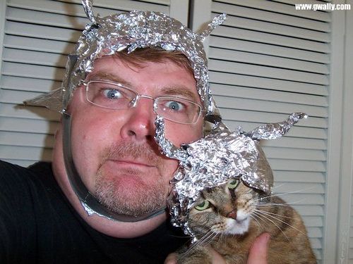 catinthehat.jpg