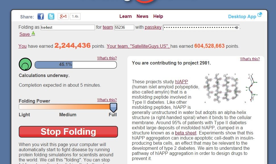 chrome folding.jpg