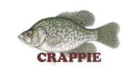 crappie.jpg