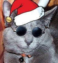 cyberham_crop_Xmas.jpg