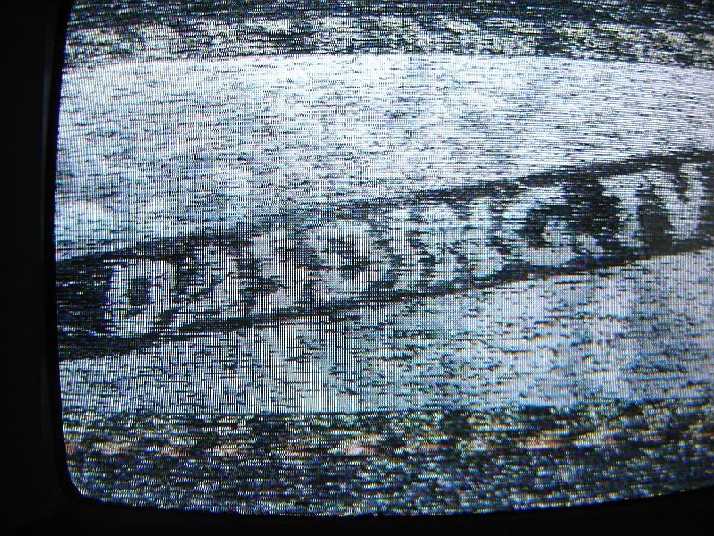 Dasding TV.jpg