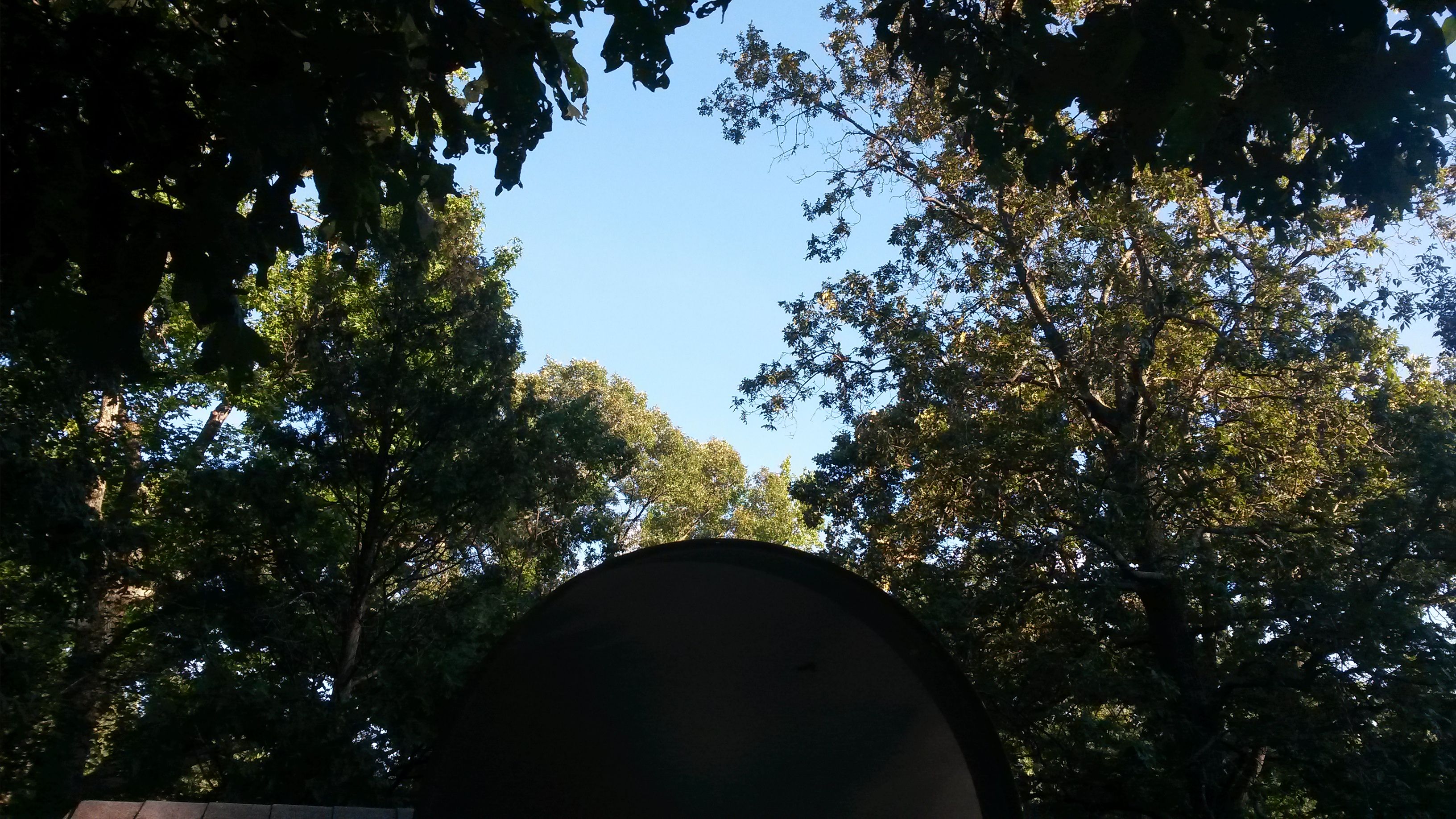 Dish 1.jpg