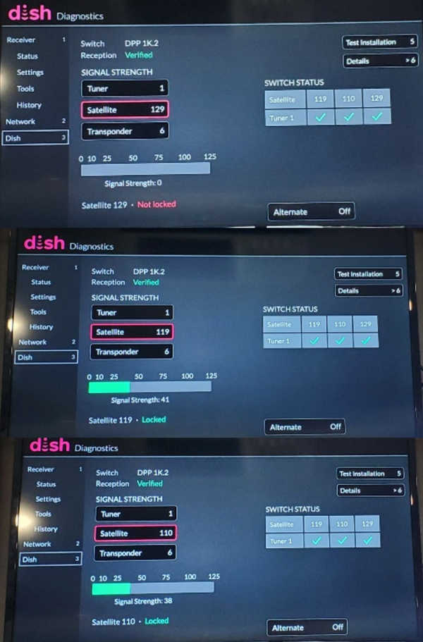 dish 3 birds.jpg