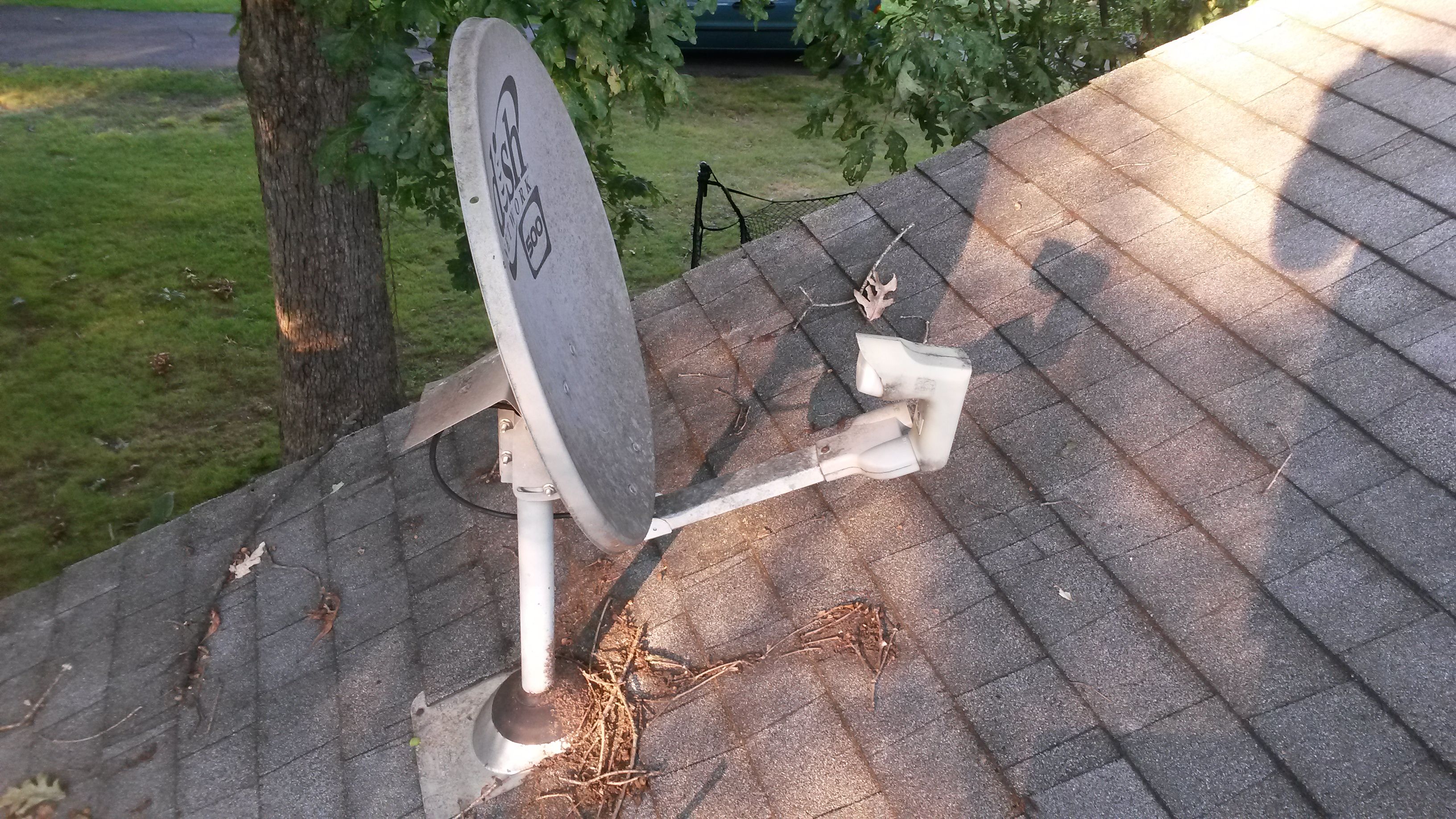 Dish 3.jpg