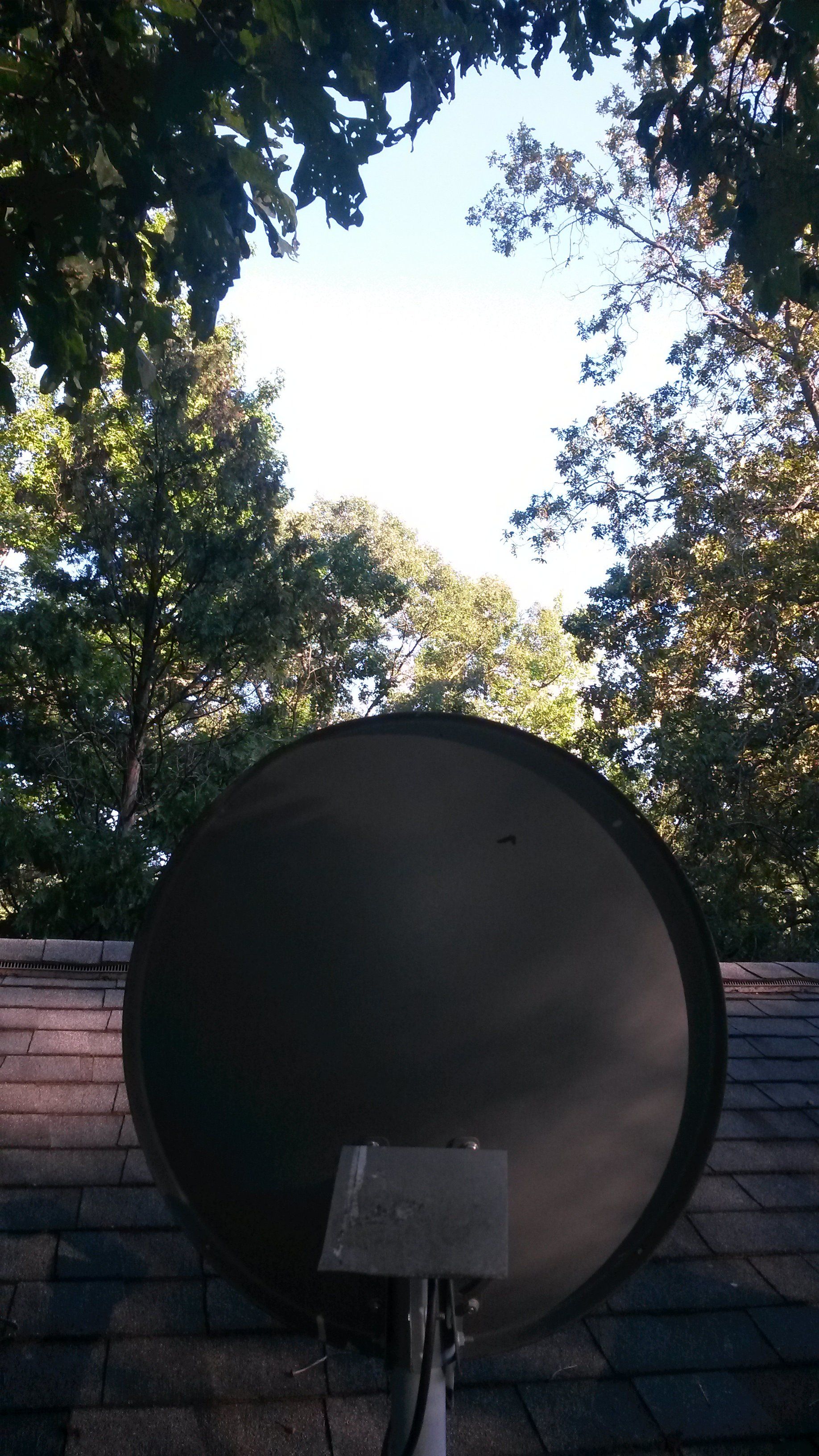 Dish 4.jpg