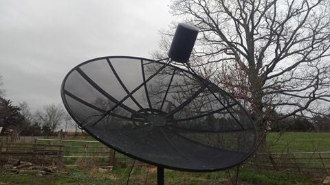 dish cover.jpg