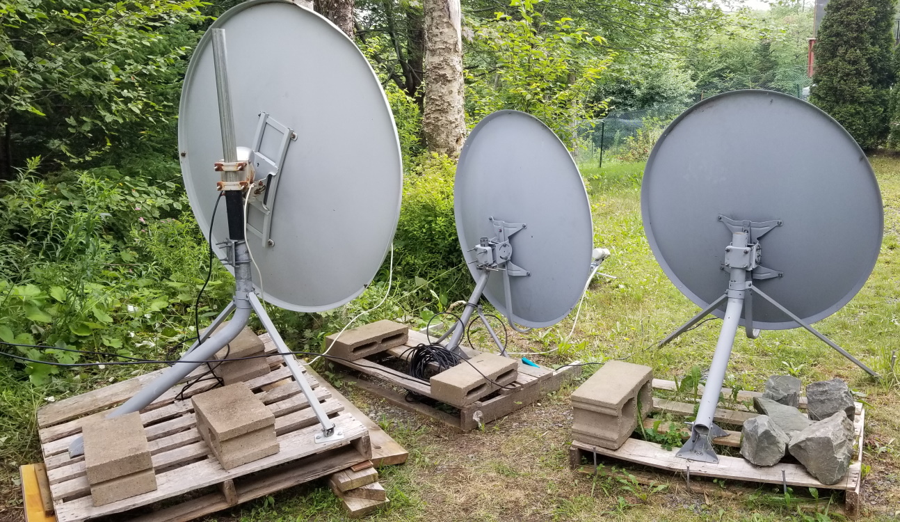 Dish  Family_Rear.jpg