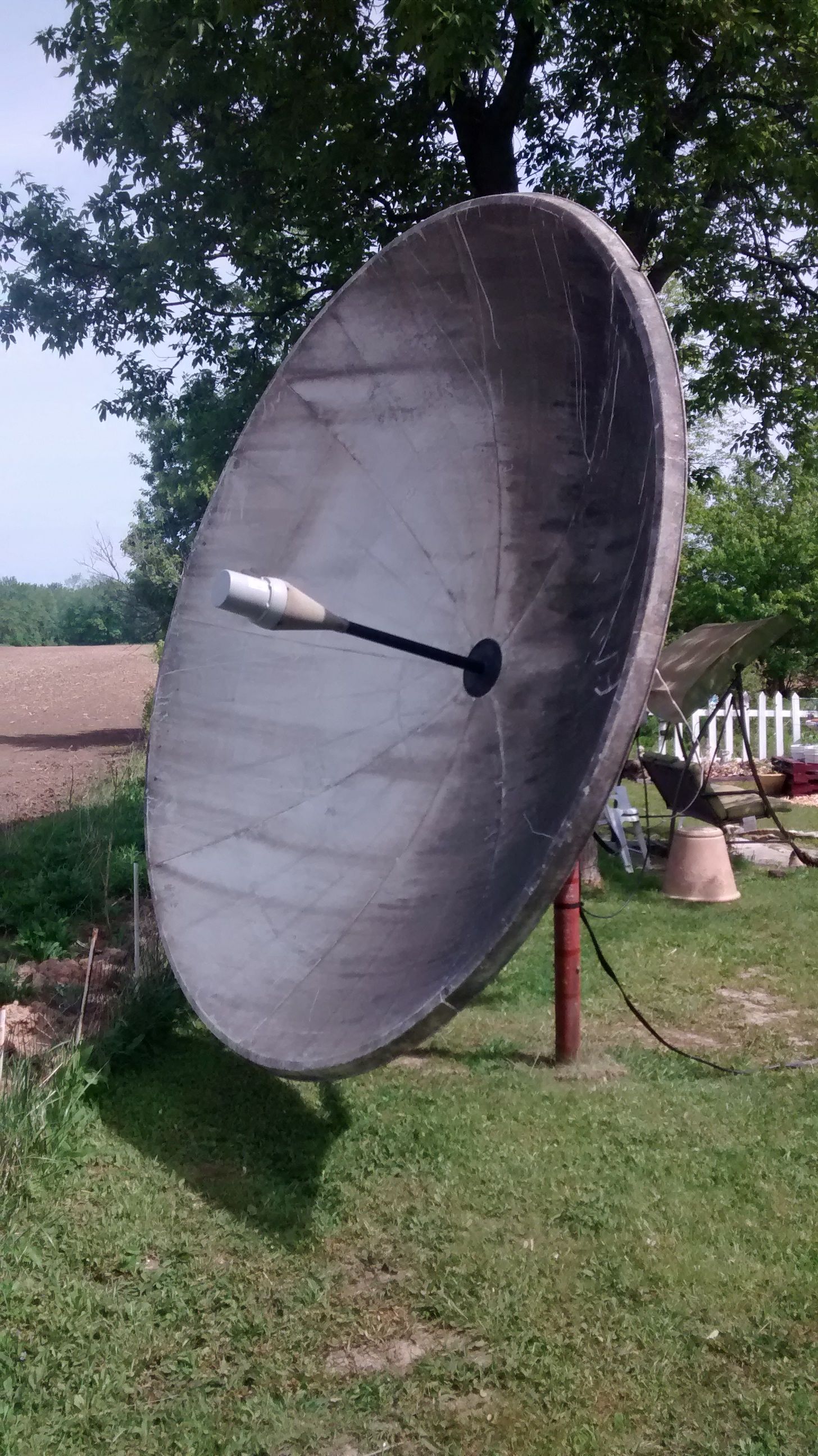 Dish.jpg