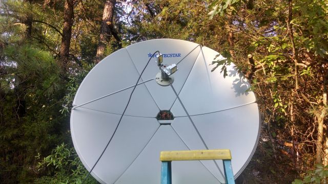 dish.jpg