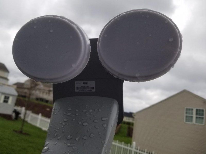 dish.jpg