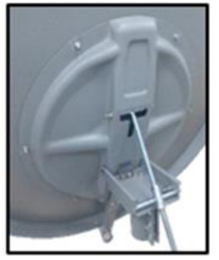 dish.png
