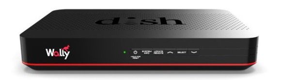 dish-wally.jpg