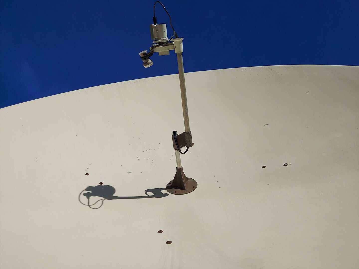 dish_face-jpg.159820