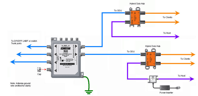 dp6 (1).png
