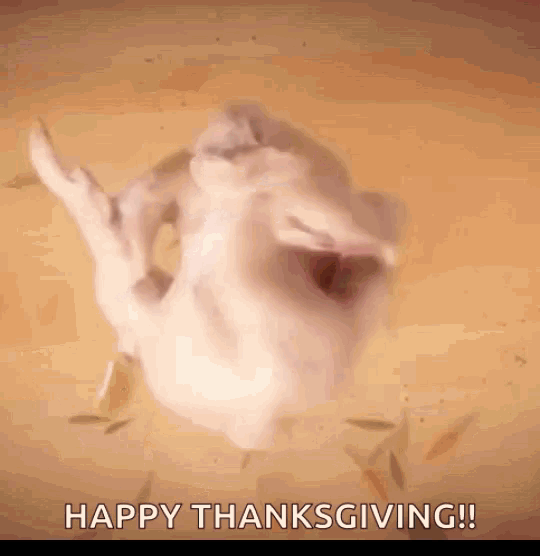 E044198F-2D42-4B20-AD24-FB392A8D6EDE.gif