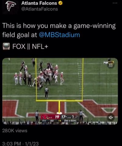 Falcons.jpg