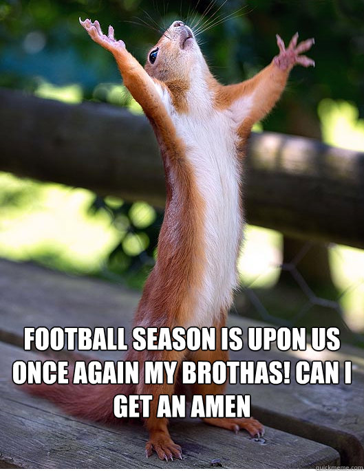 football squirrel.jpg