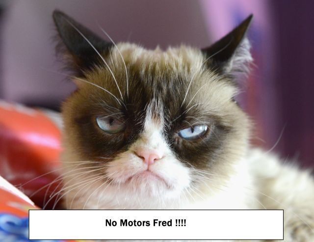 Grumpy-Cat-6.jpg