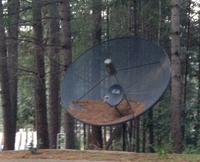 ImageUploadedBySatelliteGuys1445693528.062934.jpg