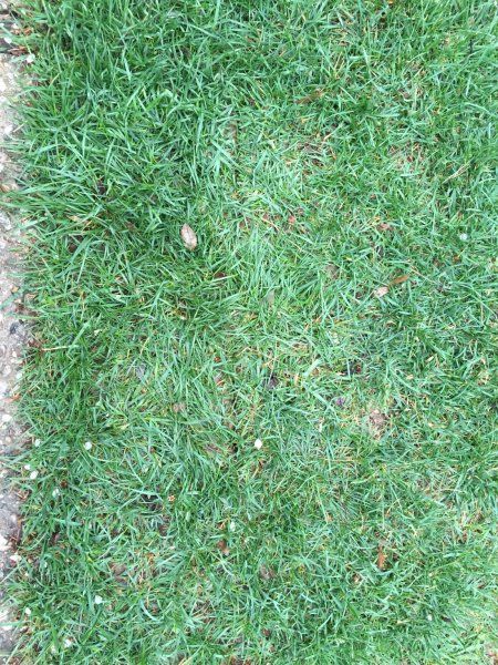 ImageUploadedBySatelliteGuys1490706584.253916.jpg