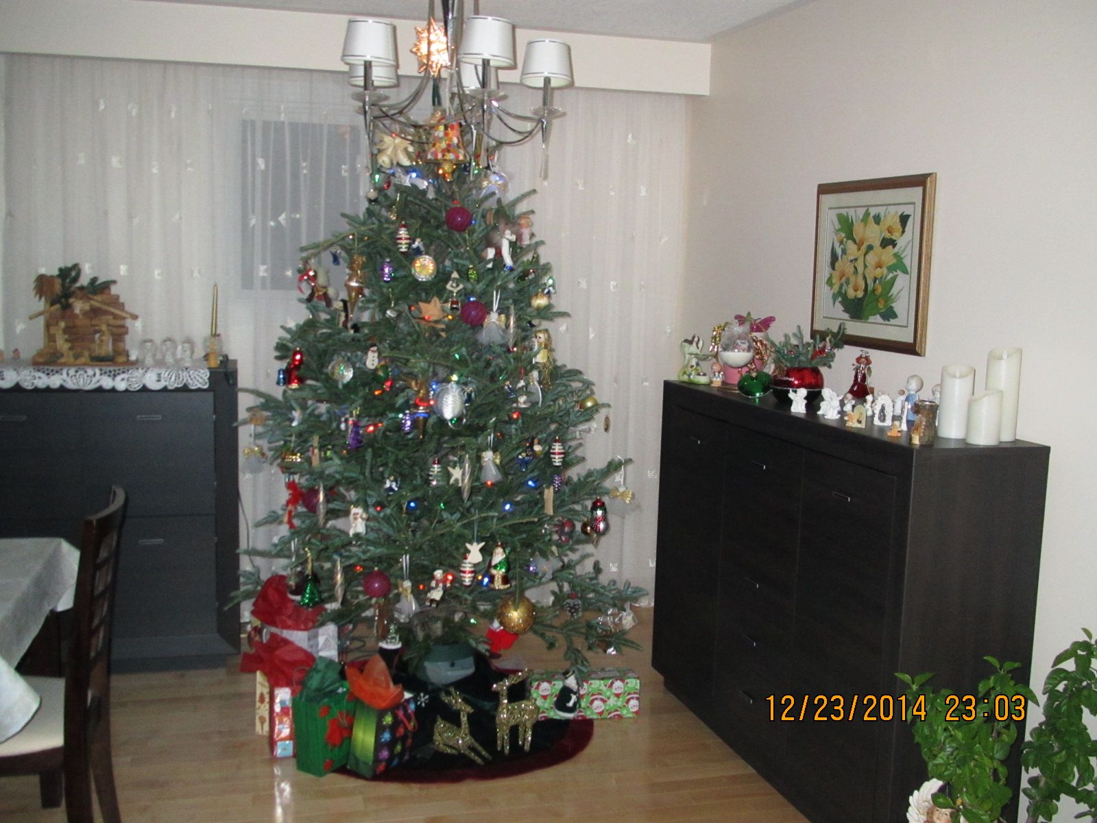 IMG_0384.JPG