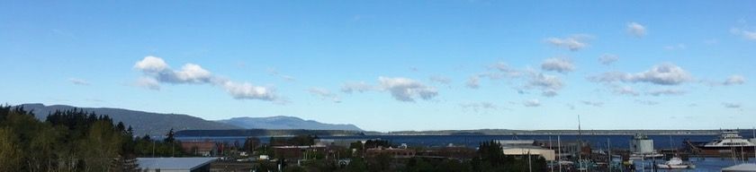 IMG_0948.jpg